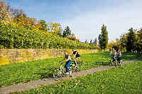 Sportliche Spessarthügel und genussvolle Flussradwege bieten im Spessart-Mainland eine schöne Abwechslung beim Ausflug mit dem Rad.