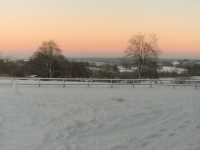 Natur pur in der Eifel